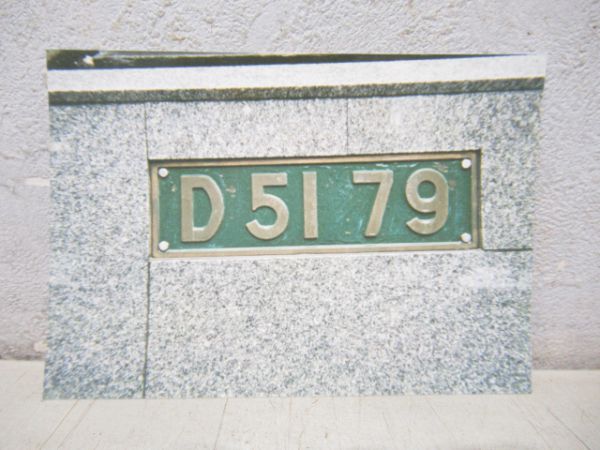 D51 79(ナメクジ型)