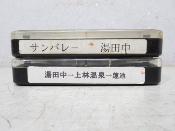 長野電鉄バスネプチューン2本