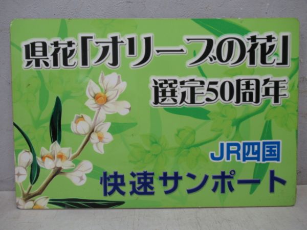 JR四国快速サンポート県花「オリーブの花」選定50周年