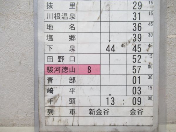 SL101列車揃い「大井川鉄道SLかわね路号」