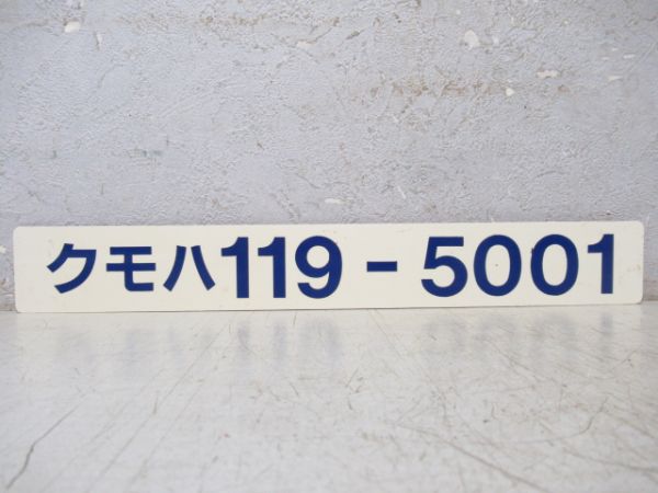 「クモハ119-5001」