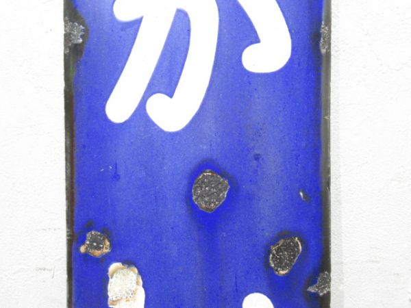 奈良線「ながいけ」