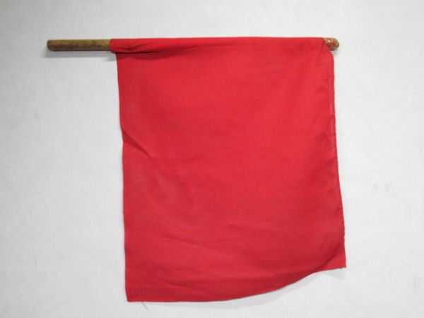 フライ(誘導旗) 赤・緑 2本組