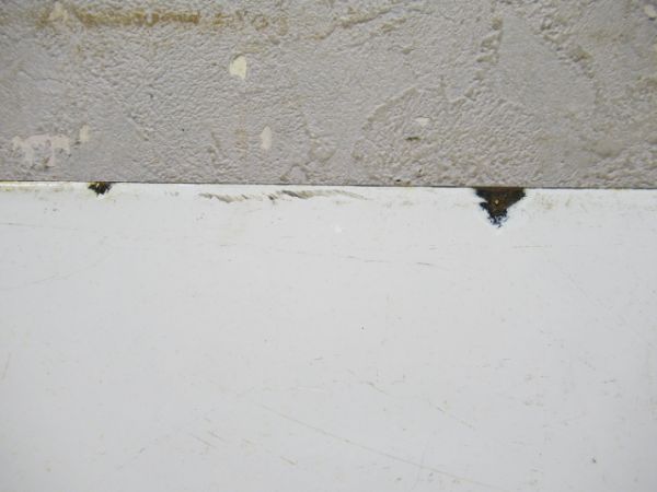 新潟(新津経由)⇔新発田