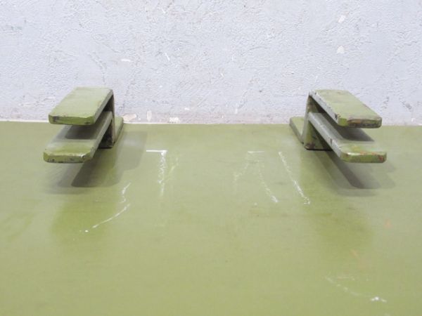 阪神 高校野球 特急