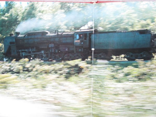 「魅惑の蒸気機関車」