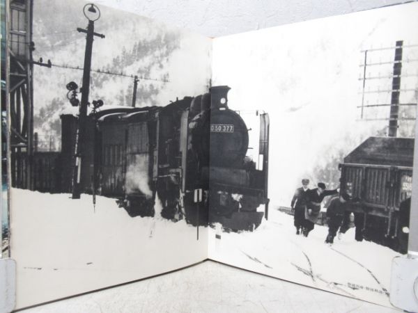 さあ行こう俺達の美しいやつ