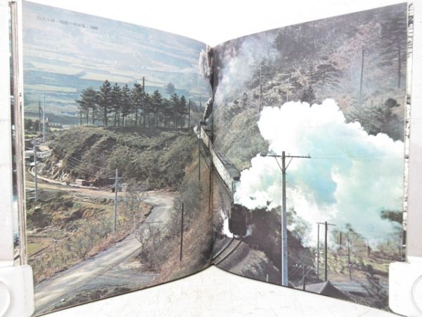 さあ行こう俺達の美しいやつ