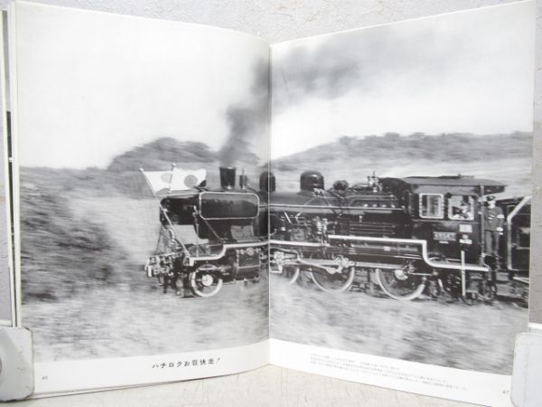 懐想の蒸気機関車